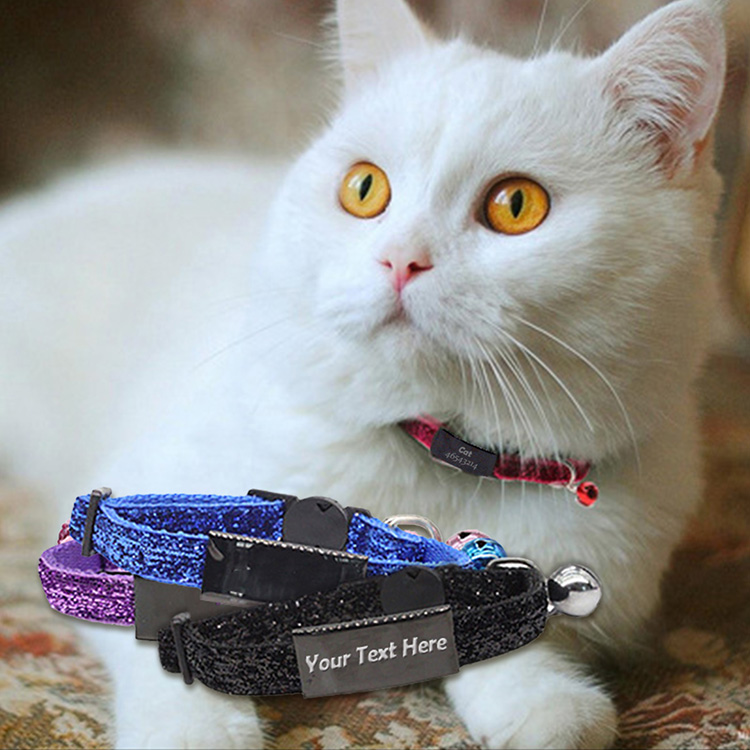 Custom Cat Collars with Name Tag