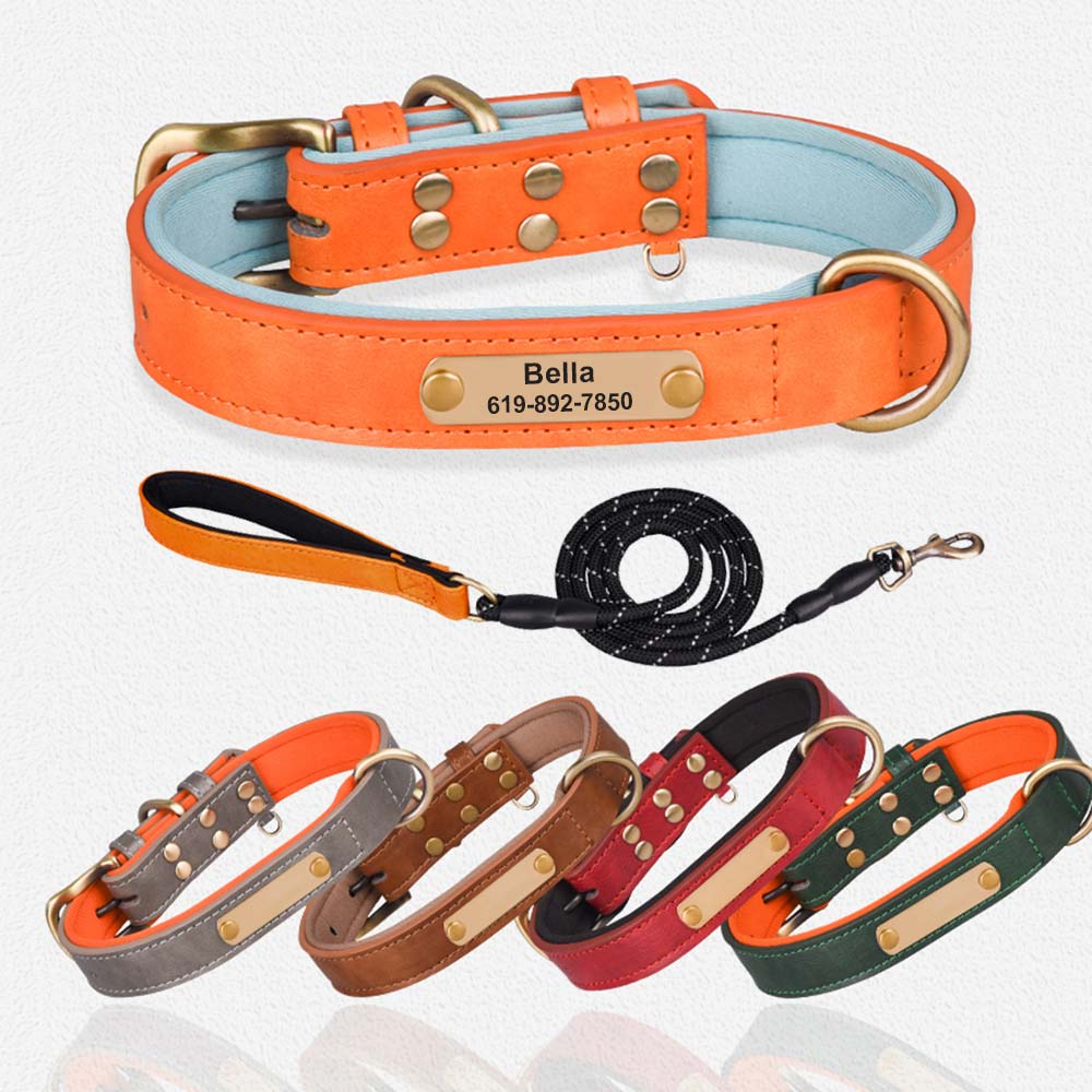 Leather Engraved Dog Collars with Personalized Nameplate