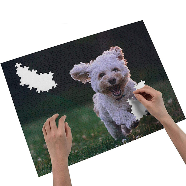 Custom Jigsaw Puzzles 500 Pieces